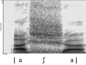 Spectrogramme de la consonne [ʃ]