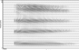 Spectrogramme de la voyelle [ø]