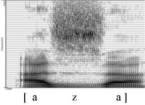 Spectrogramme de la consonne [z]